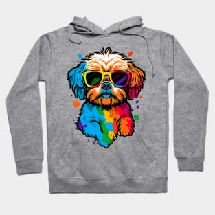 Cool is Colourful Hoodie